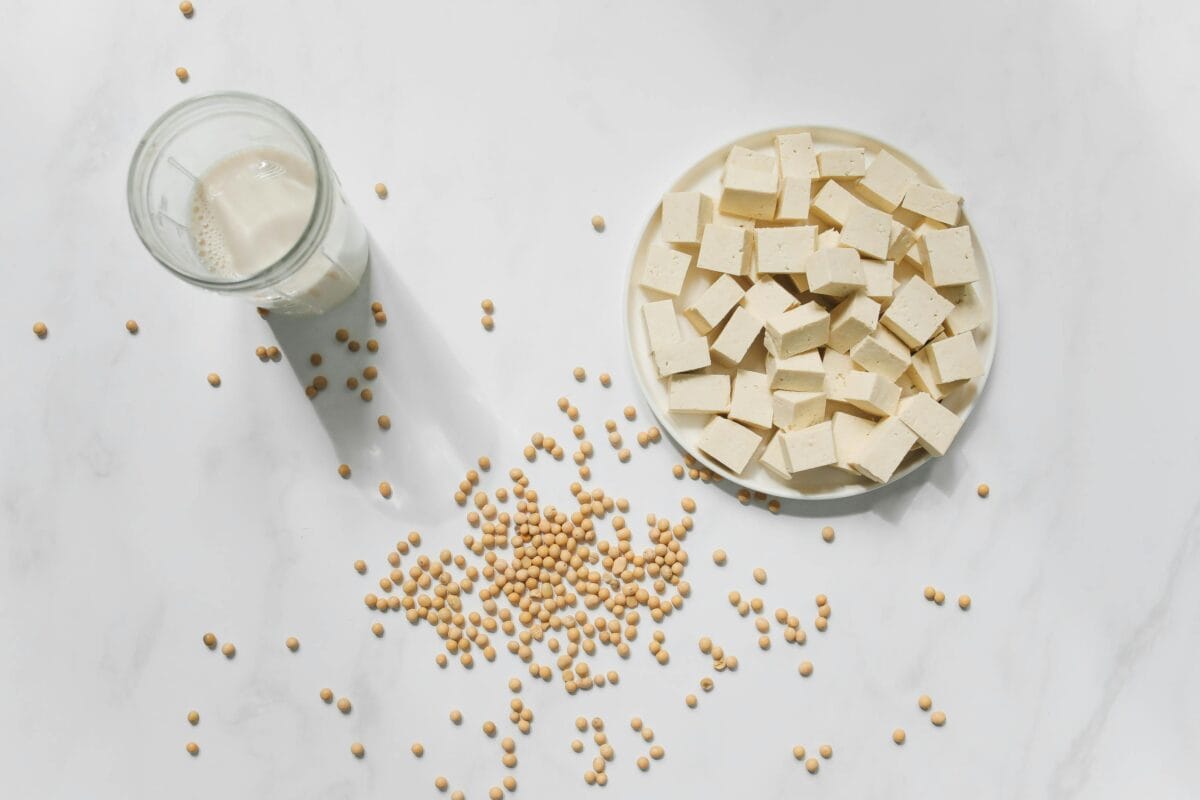 tofu - kornita naminis tofu iš sojų pieno