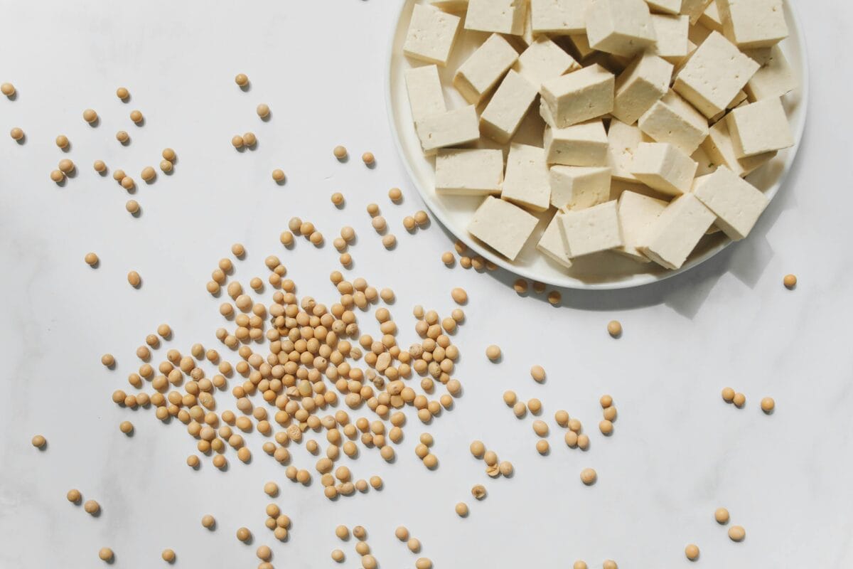 naminis tofu iš sojų pupelių